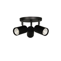 Taylor 3-Light Spot Light