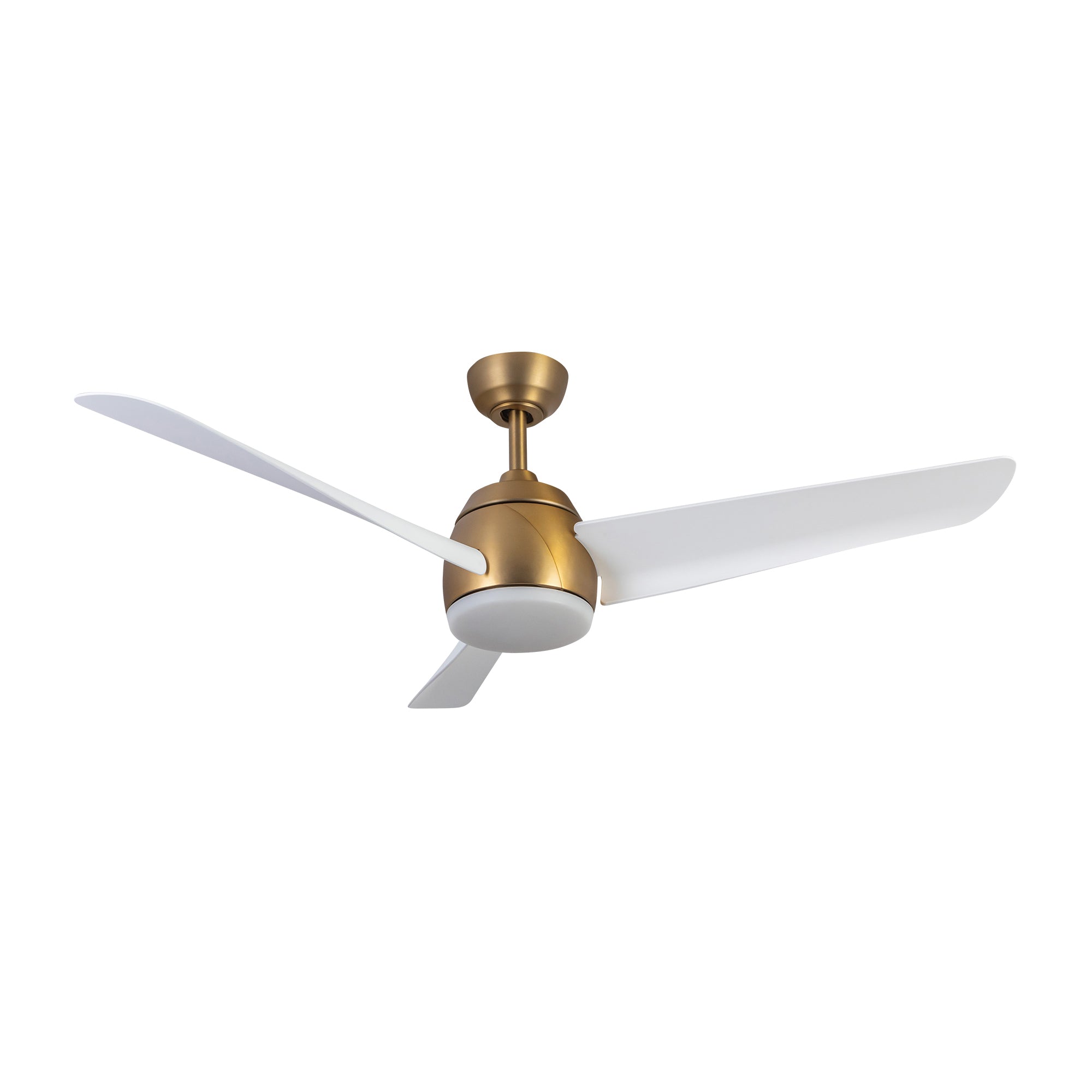 CF91954-BG/WH