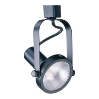 Line Voltage Gimbal Track Cylinder for use with Par 30 Lamps