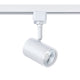 TLED-55-MWH