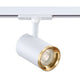 TLED-58-MWH
