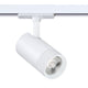 TLED-61-MWH