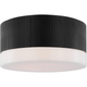 Ace 12" Flush Mount