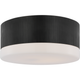 Ace 17" Flush Mount