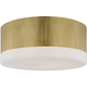Ace 17" Flush Mount