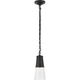 Robinson Small Pendant