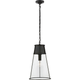 Robinson Large Pendant