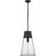 Robinson Large Pendant