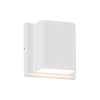 Tolan 4" LED All-terior Wall