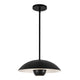 PD11914-BK
