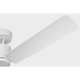 Cleancut 62 Ceiling Fan
