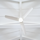 Colgin 56 LED Ceiling Fan