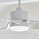 Colgin 56 LED Ceiling Fan