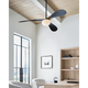 Drape Smart 58 LED Ceiling Fan