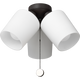 Windom Light Kit