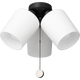 Windom Light Kit