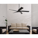 Aspen Coastal 56 Ceiling Fan