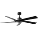Aspen Coastal 56 Ceiling Fan