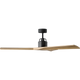 Alma Smart 52 Ceiling Fan