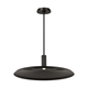 Saucer Direct 24 Pendant