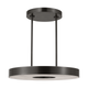 Wyllis 24 Chandelier