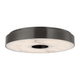 Wyllis 18 Flush Mount