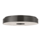 Wyllis 18 Flush Mount