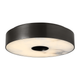 Wyllis 12 Flush Mount