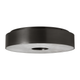 Wyllis 12 Flush Mount