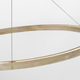 Ashok 49 Chandelier