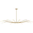 SLCH81627HABEG