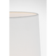 ARN 3905CG-L-CL