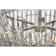 ARN 5072PN-CG