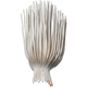 CHD 2138WPL