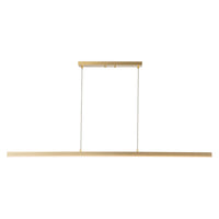 Vega 56" LED Linear Pendant
