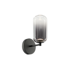 1-light wall sconce in matte black finish with tall oval frosted glass capsule shade on round backplate, product photo