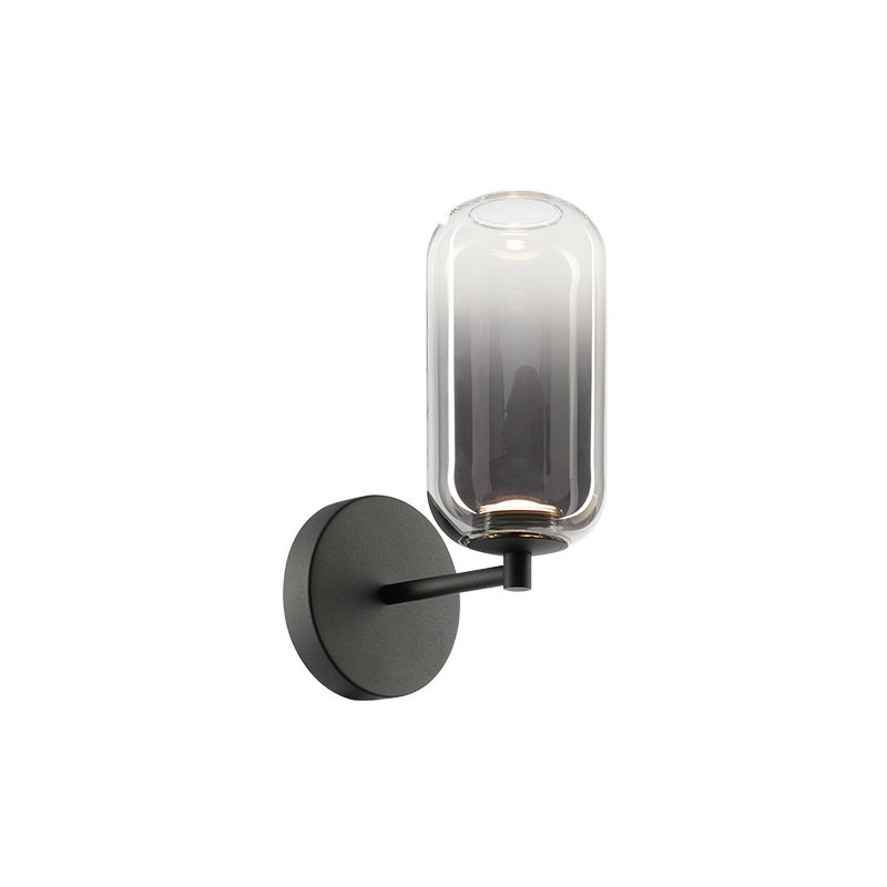 1-light wall sconce in matte black finish with tall oval frosted glass capsule shade on round backplate, product photo