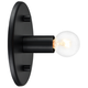 Kasa 1-Light Wall Sconce
