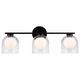 Derbishone 3-Light Wall Sconce
