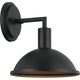 Farmley 1-Light 8" Wall Sconce