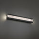Posh 29" LED Bath Vanity & Wall Light