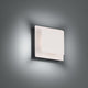 Greet 7" LED Wall Sconce