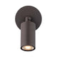 Cylinder LED Single Adjustable Indoor/Outdoor Wall Light