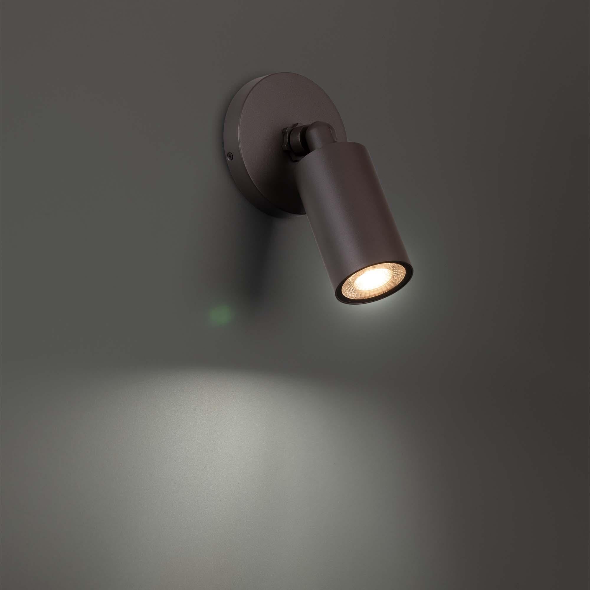 Cylinder LED Single Adjustable Indoor/Outdoor Wall Light