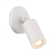 Cylinder LED Single Adjustable Indoor/Outdoor Wall Light