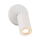 Cylinder LED Single Adjustable Indoor/Outdoor Wall Light