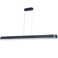Walsh 60W Horizontal Pendant