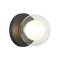 Solaris 1-Light Wall Sconce/Ceiling Mount