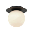 Flush mount ceiling light with matte black disc canopy and large frosted globe shade, product photo