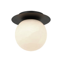 Nikini 1-Light Wall Sconce/Ceiling Mount